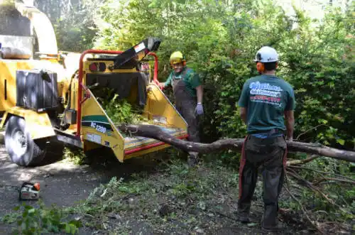 tree services Weatogue